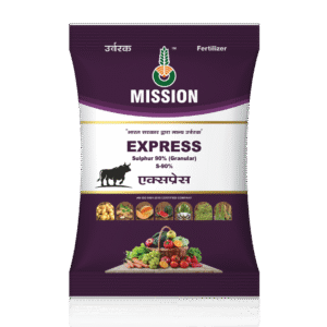 એક્સપ્રેસ