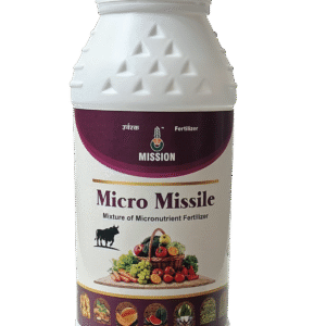 માઈક્રો મિસાઈલ