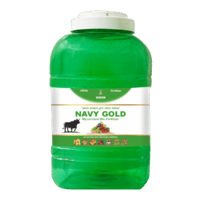 નેવી ગોલ્ડ