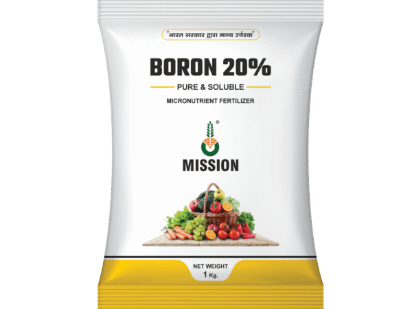 boron 20 (1)