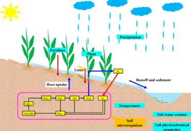How Weather and Soil Type Affect Fertilizer